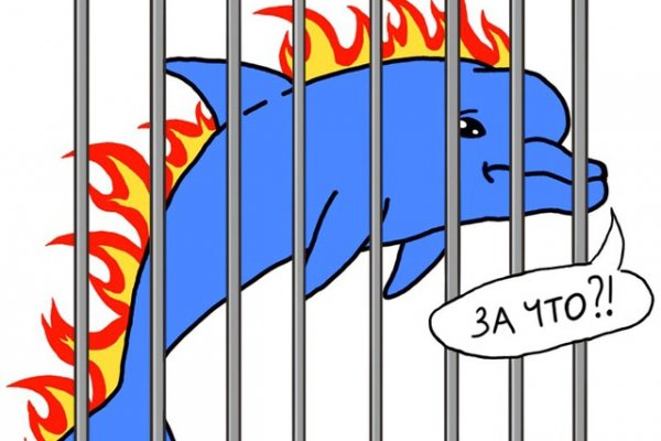 Кракен работает свадьбы