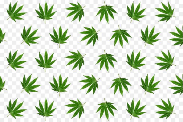 Кракен рабочая ссылка свадьбы