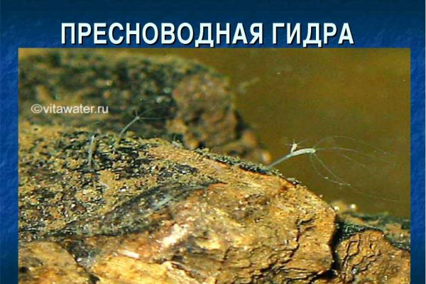 Krab9 at отдых комфорт