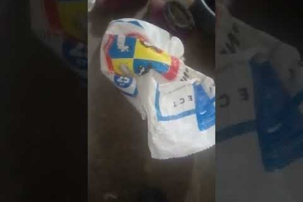 Ссылка на кракен тор проведение праздников