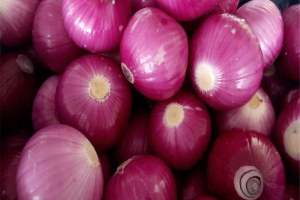 Kraken зеркало аренда зала