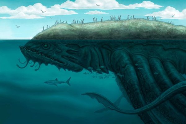 Ссылки в тор kraken гостевой дом