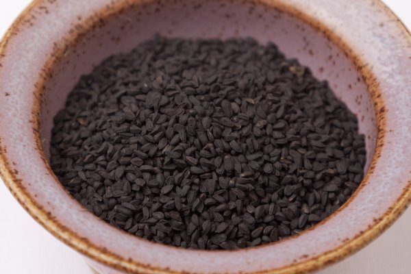 Krab7 at проживание отдых