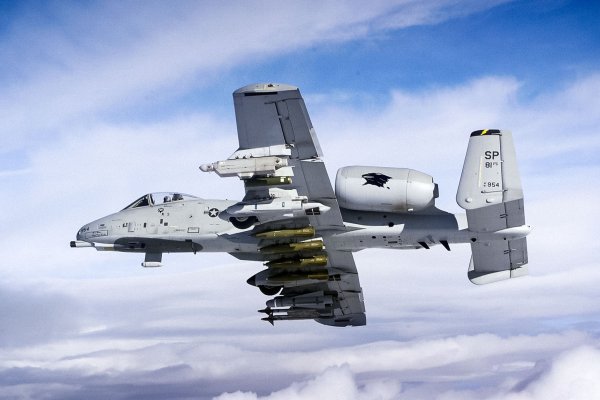 Krab8 at проведение праздников мероприятий