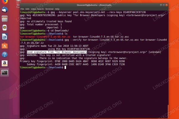 Ссылки тор браузер проведение праздников