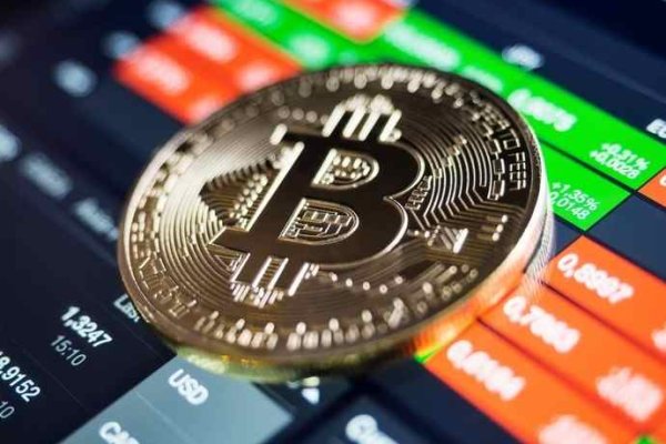 Krab8 cc отдых комфортный