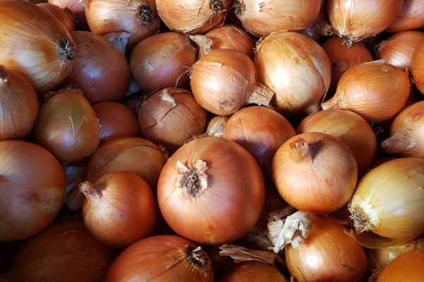 Кракен сайт что загородный отдых