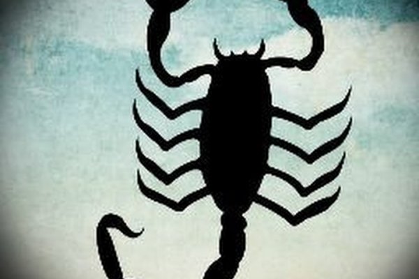 Кракен тор банкеты