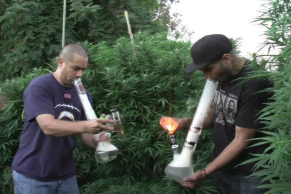 Кракен маркетплейс организация праздников мероприятий