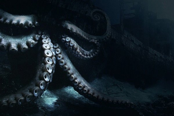 Площадки kraken организация досуга