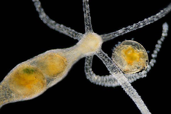 Кракен официальный сайт аренда помещения