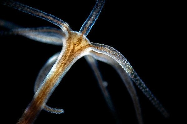 Кракен сайт загородный отдых бронирование номеров