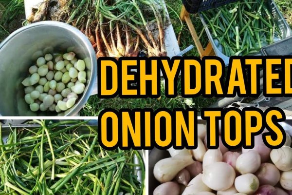 Кракен зеркало гостевой дом