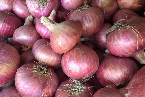 Kraken зеркало отдых