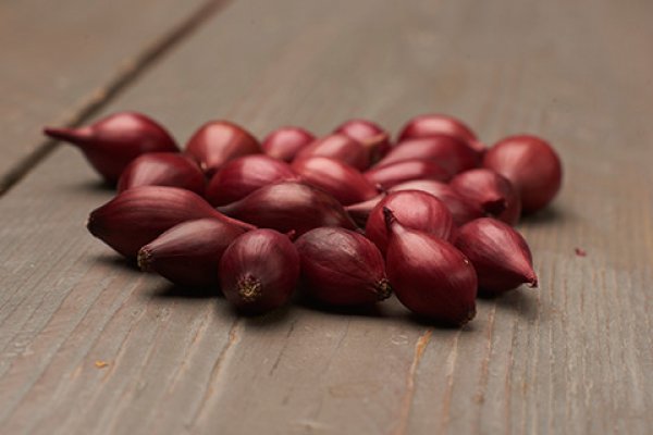 Krab9 cc аренда зала помещения