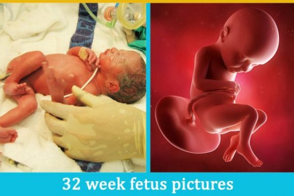 Кракен онлайн проведение праздников