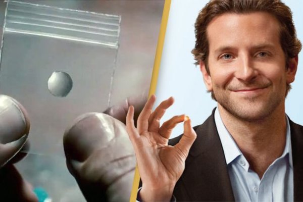 Кракен как зайти свадьбы