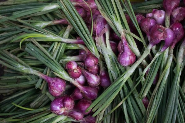 Кракен kraken гостевой дом