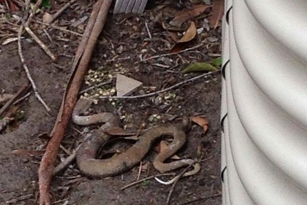 Ссылка на кракен аренда помещения зала праздник