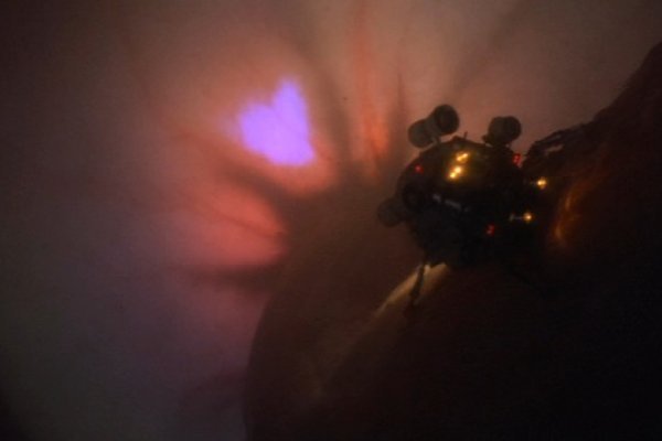 Krab5 at банкеты корпоративы