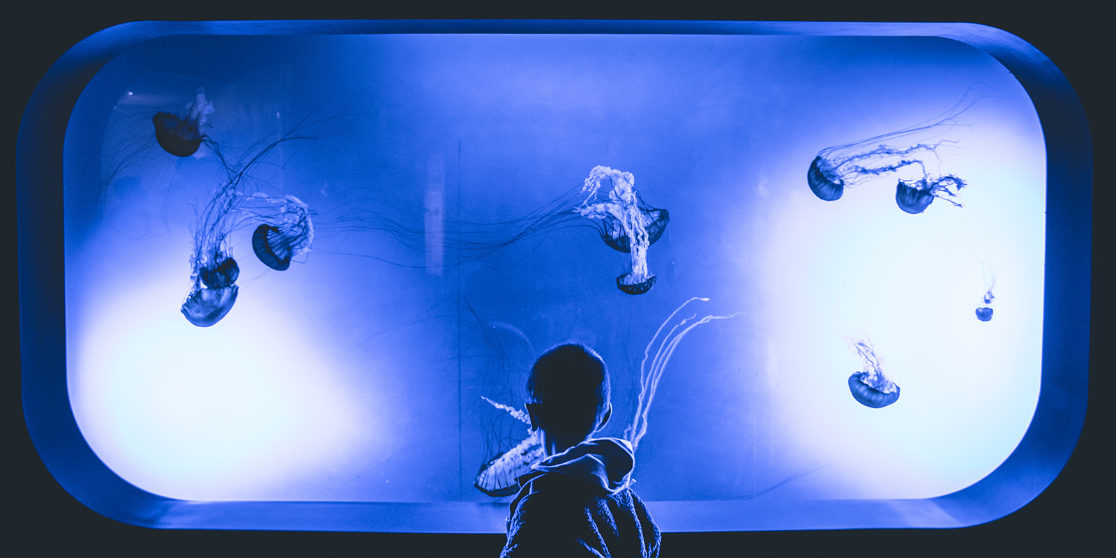 Ссылки в тор kraken корпоративы